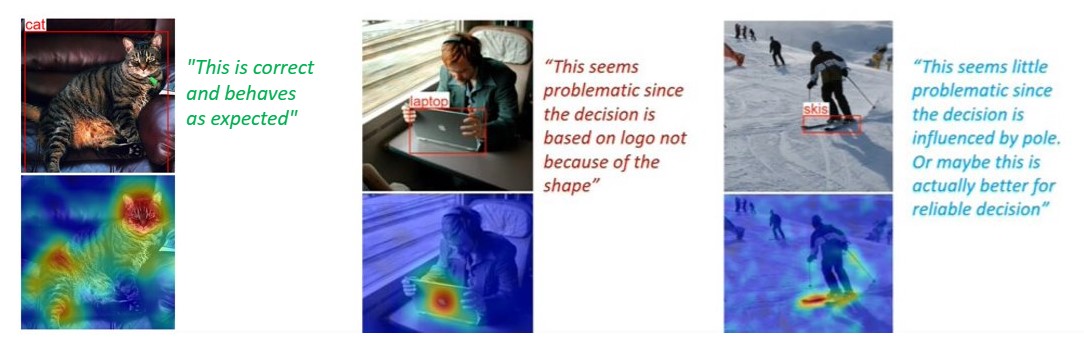 this image shows the result of XAI algorithm