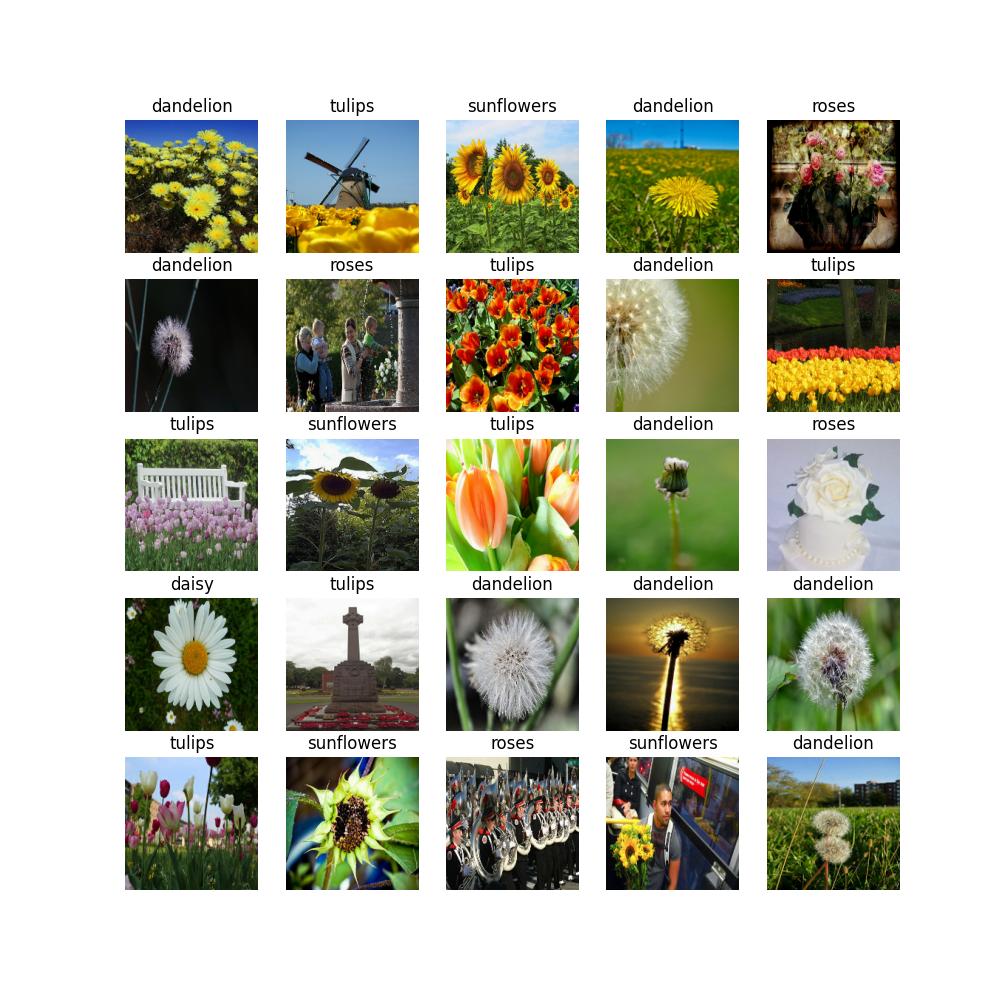 ../../../../_images/flowers_example.jpg